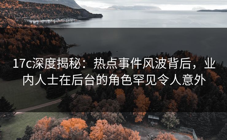 17c深度揭秘：热点事件风波背后，业内人士在后台的角色罕见令人意外