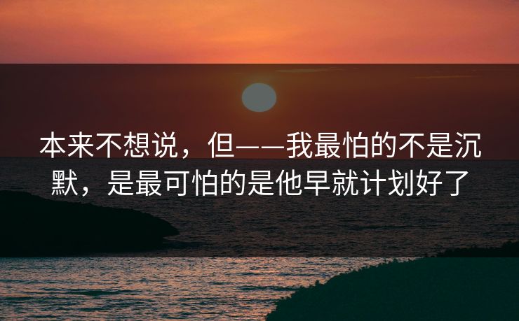 本来不想说，但——我最怕的不是沉默，是最可怕的是他早就计划好了