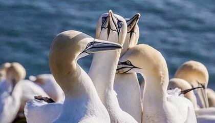 在床上拔萝卜又疼又叫的真实体验分享